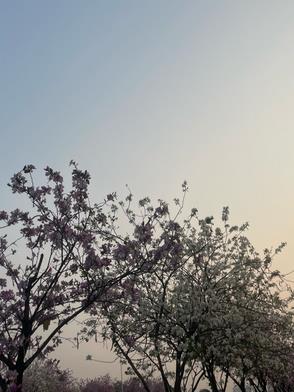 搬空家底去下乡